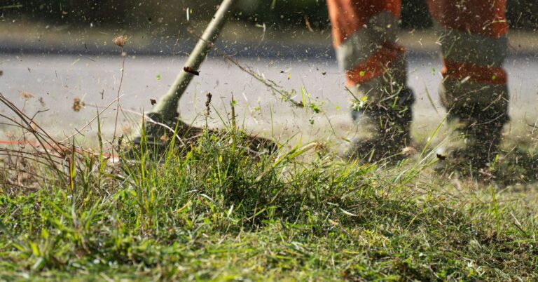 corte de grama em Fortaleza